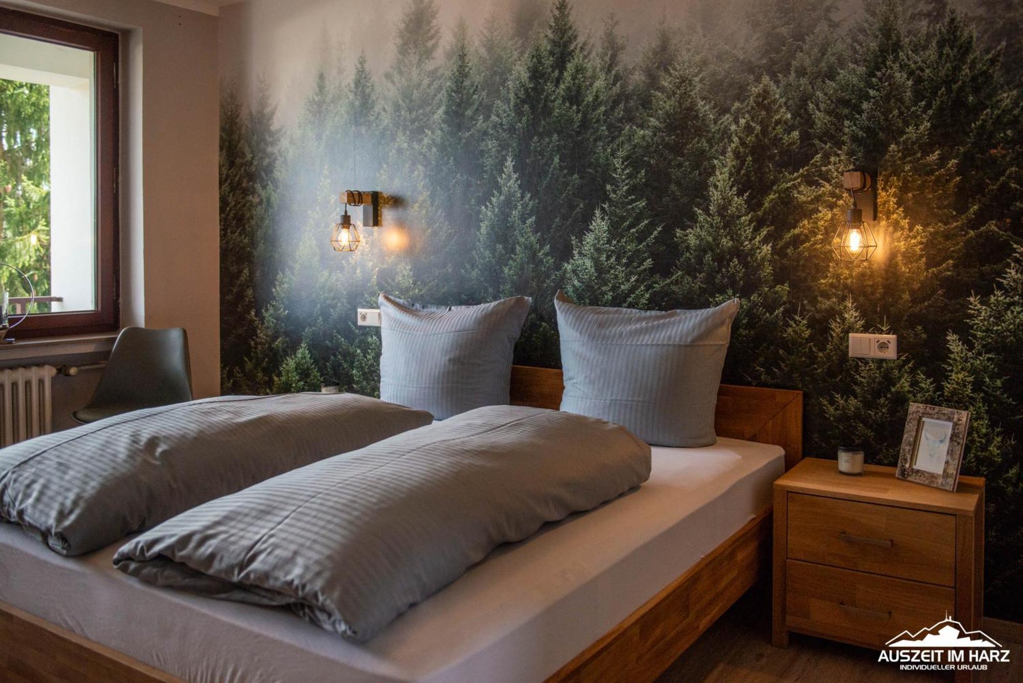 Auszeit Im Harz Haus 3 Wohnung 6 Braunlage Exterior foto